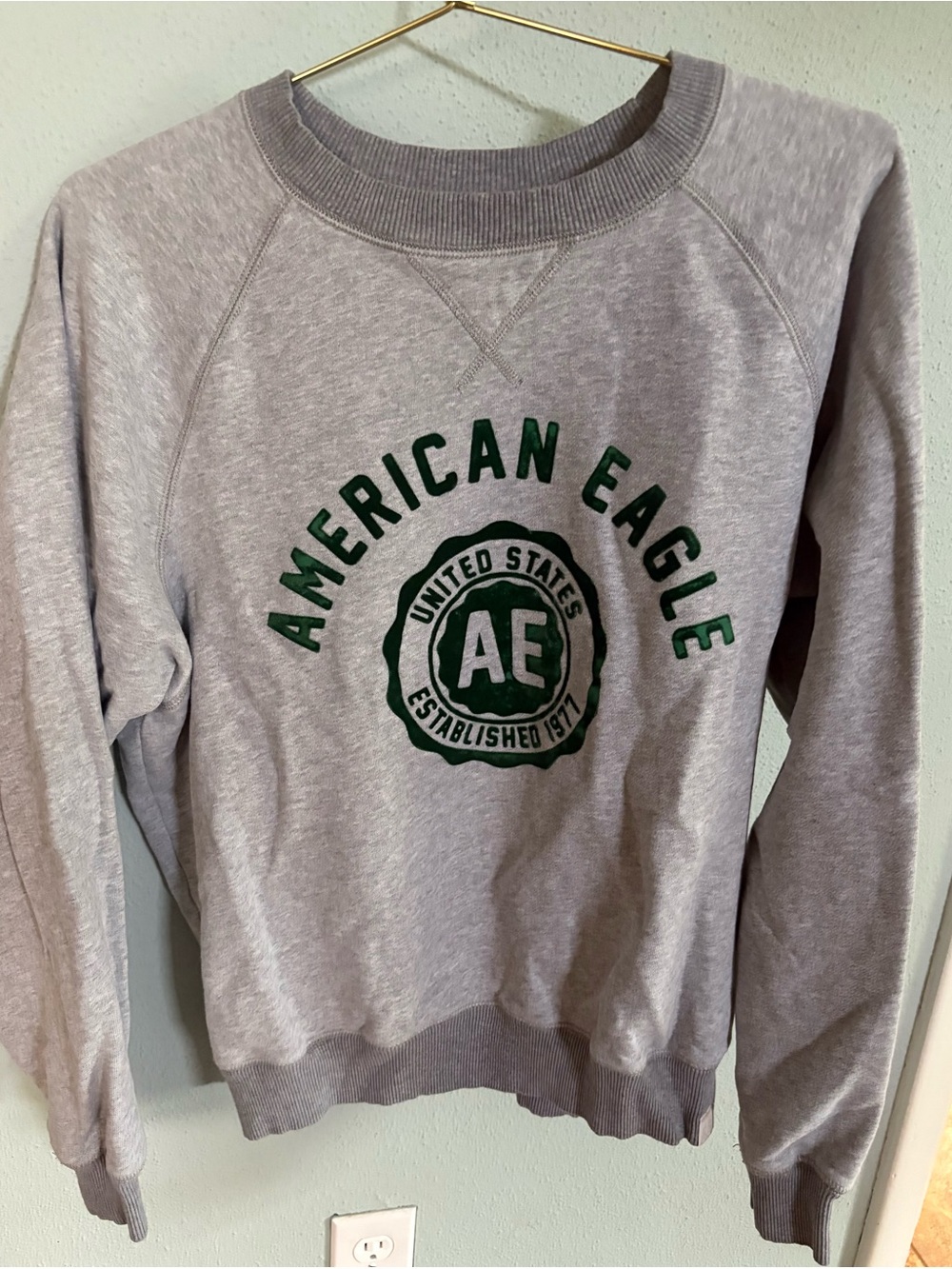 American Eagle Outfitters Light Gray Crewneck Sweatshirt with Green Logo